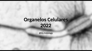 Organelos Celulares - its.histology