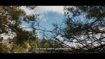 Kur'an Tilaveti | Lokman Suresi 8-11. Ayetler | سورة لقمان