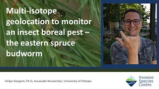 Multi-isotope geolocation monitoring for an insect boreal pest - the Eastern spruce budworm