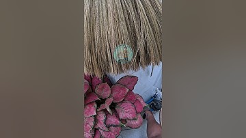 Dịch vụ siêu âm dò tìm rò rỉ nước ngầm tại Thủ Đức TPHCM| 2 điển vỡ cách nhau không được 1m