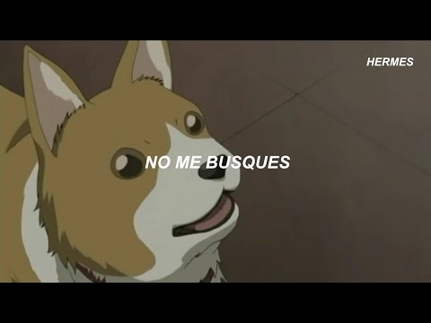 Canción del Perro cacheteado - YouTube