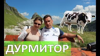 Дурмитор. Овцы, коровы и СНЕГ летом! Живописная дорога в Плужине. Орлиная дорога