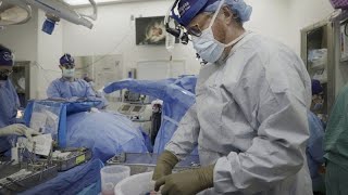 Pig kidney works in a donated body for over a month, a step toward animal-human transplants