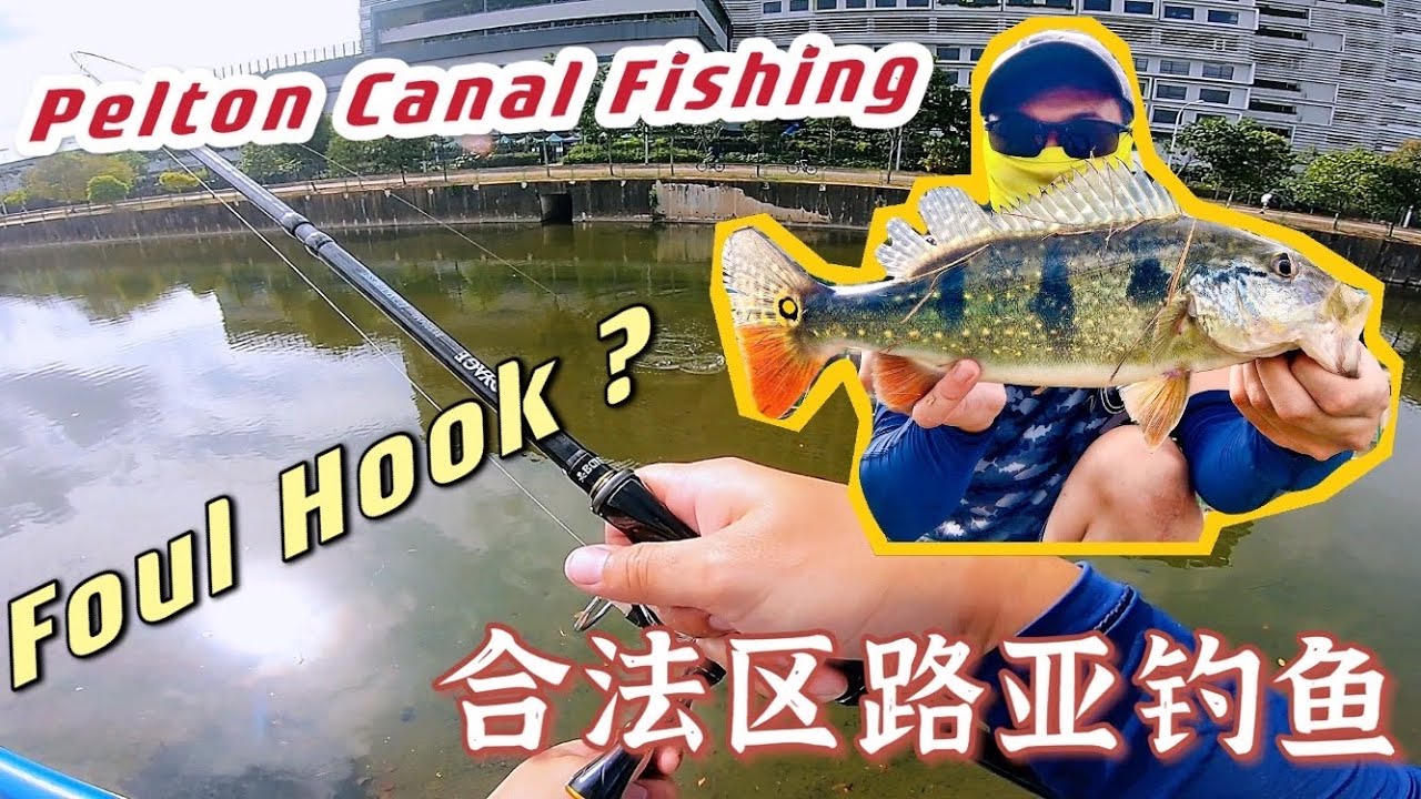 Pelton Canal Legal Fishing Ground Singapore Fishing Foul Hook 佩尔顿水道