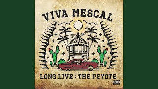 Video thumbnail of "Viva Mescal - Mi Vida Nueva"