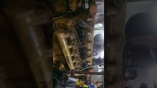 Starting cat D398