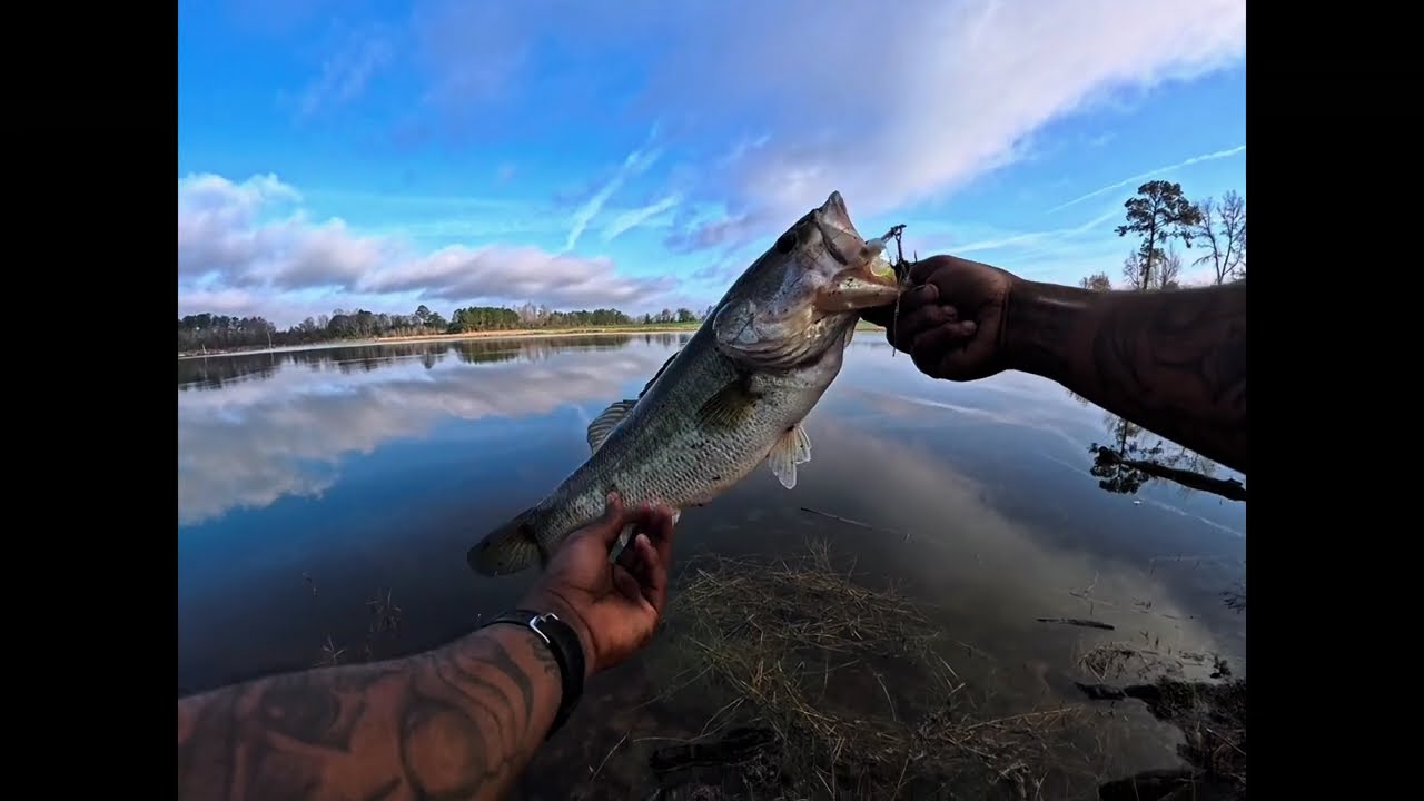 “The Most Epic Day of Fishing EVER!” #bassfishing #tipsandtricks #bedfishing #fishinglife