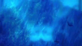 Funeral Future - Glass View (Official Video)