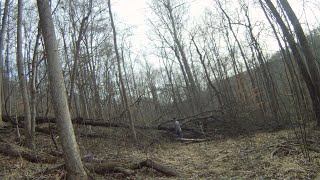 145   Blow Down Hunting by GeezerInDaWoods 18 views 1 month ago 19 minutes