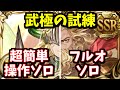 【自発/日課用】野良が魔境になりつつある新マルチ「武極の試練」の超簡単操作ソロ討伐&フルオートソロ討伐出来る編成を紹介する【グラブル】