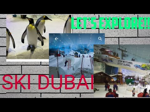 Exploring SKI DUBAI in Mall of Emirates