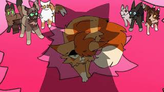 All Eyes On Me Bramblestar Amv Meme