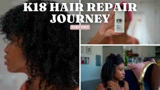K18 Hair Repair Journey Part 2 + Sunday Worship | Detailed | Aisha Beau