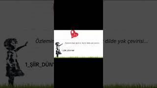 Özlemek Hi̇çbi̇r Di̇lde Çevi̇ri̇si̇ Yok… Şiir Şk