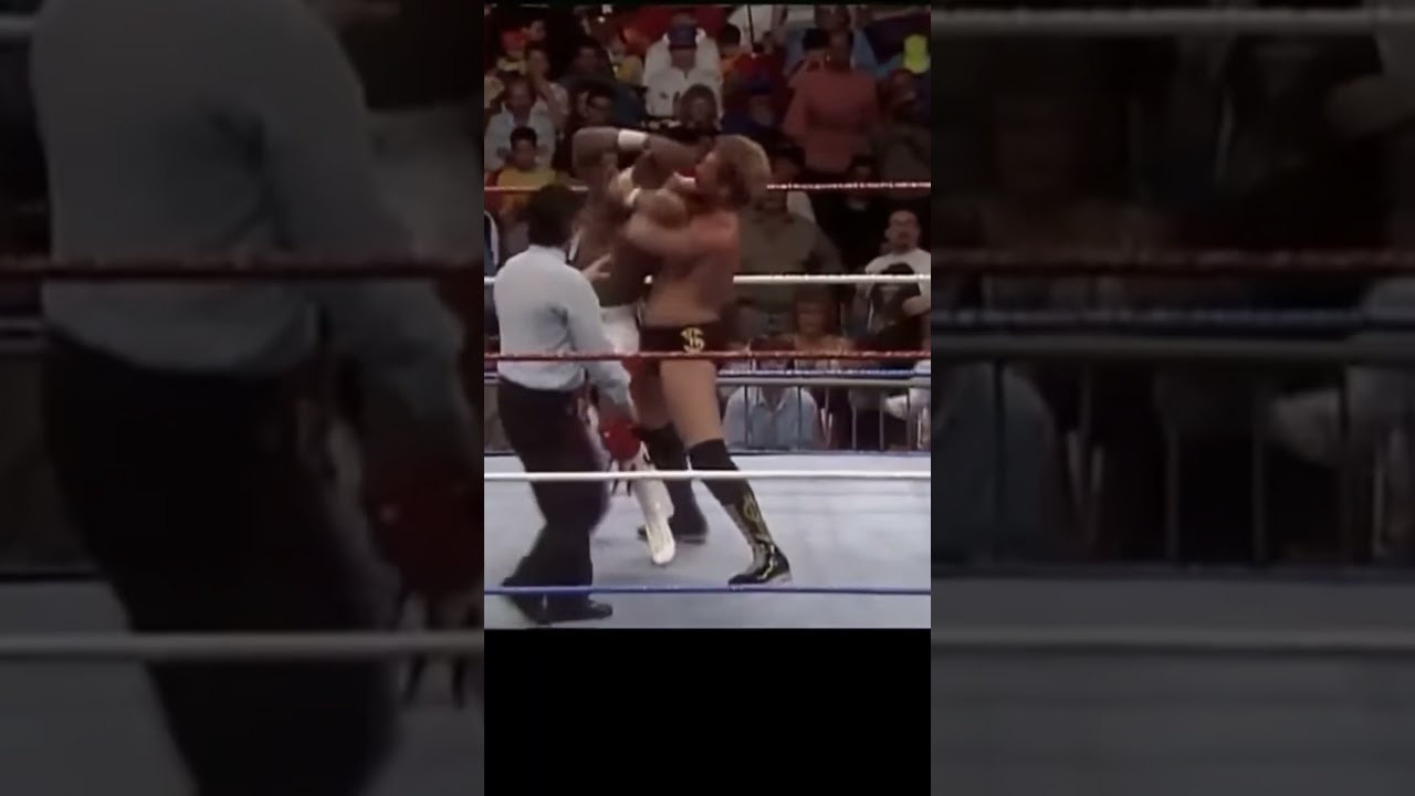 THE MILLION DOLLAR MAN TED DIBIASE - MILLION DOLLAR DREAM 