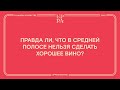 Вино из средней полосы России