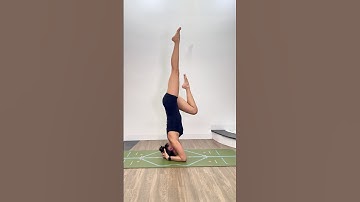 Mẹo trồng CÂY chuối #shorts #headstand #yogabysophie #trồng #chuối #yttc #yogaclass