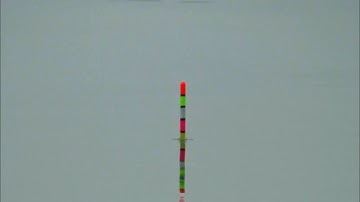 Istimewa...‼️ Tak Ada Yang Kecil Mancing Di Spot Ini