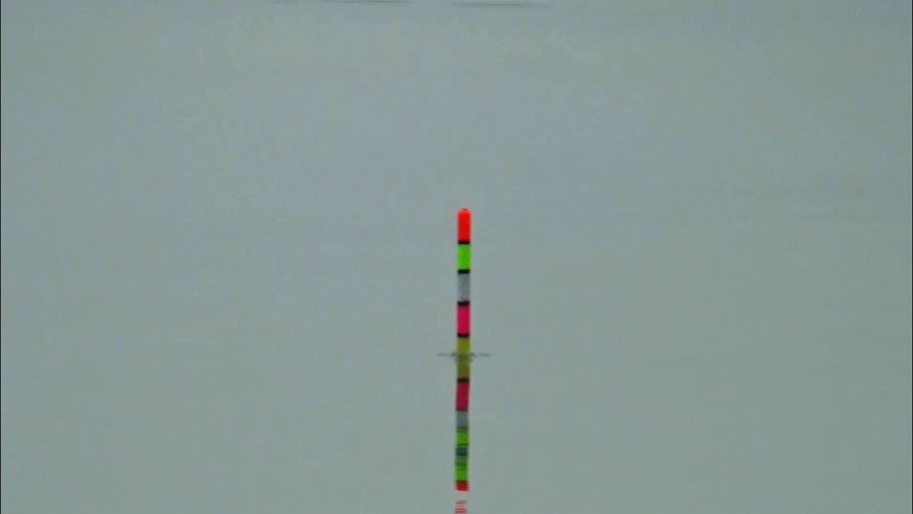 Istimewa...‼️ Tak Ada Yang Kecil Mancing Di Spot Ini