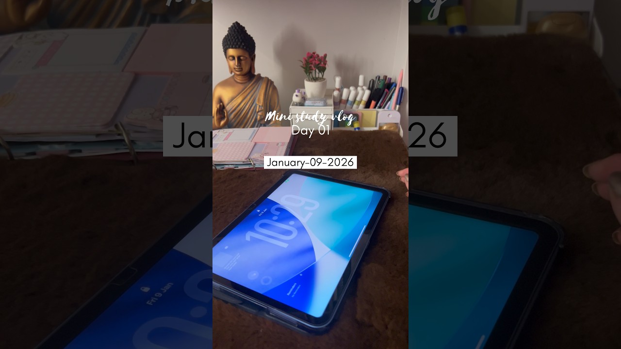 30 min night study vlog📕