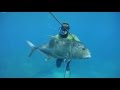 Spearfishing Western Australia - Fresh Prodhuce