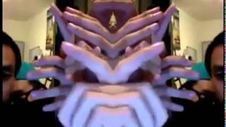 Vine Transformers