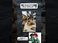 猫によるパラダイスの作り方#川口けいと
