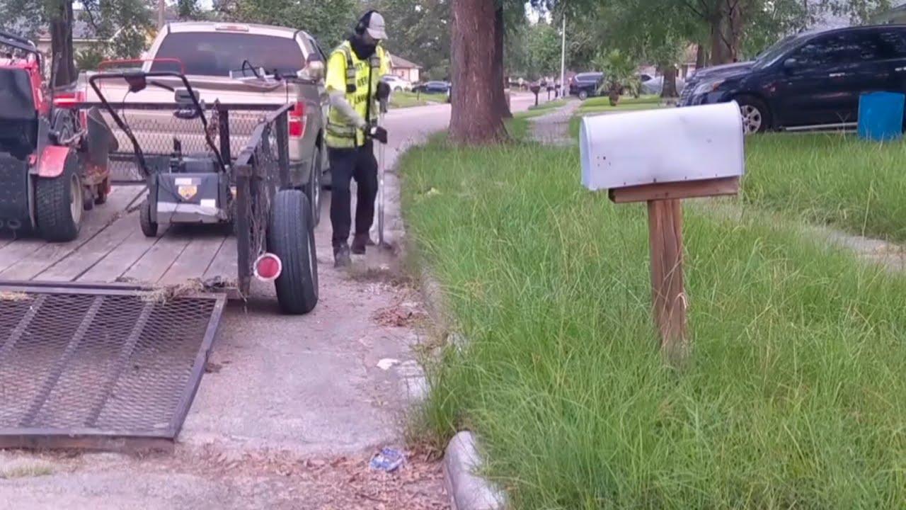 Home is FOR RENT but the YARD is TERRIFYING  future renters