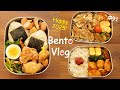 【Bento vlog】Happy 2025 🍙 Onigiri rice ball and deep-fried pork / BBQ Pork / Ketchup chicken🍱