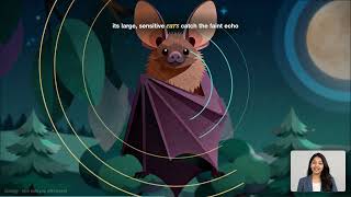 BATS DON'T ACTUALLY HAVE EYES