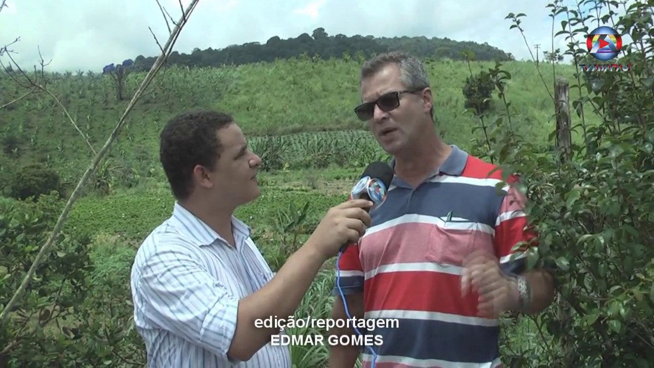 Nildo Flores, empresário do cultivo de flores, plantas e folhagens na ...