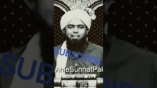 Only muslim #engineermuhammadalimirza #MUSLIM E M A M #emam #islamic #shortvideo #videos