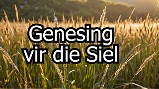 🎵 'n Geknakte Riet🔥Dowwe Lamppit🔥Chirstelike lied vir Genesing 🎵