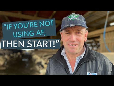Dairy Farmer Richard Twose: An Advocate For Co-op Purchasing in Welsh Agriculture - video from The AF Group