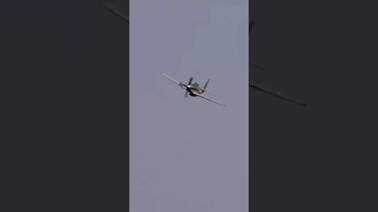 💣 1 of 555:ULTRA RARE P-51H 