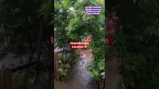 Review Lokasi Seblak Prasmanan 5k Warung Pojok Jasimin Bogor  shorts kulinerbogor