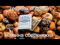 тёщины яблочки и мамина сберкнижка