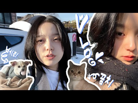 로시TV | 본가 가면 이렇게 사는 거 아니겠어요😎 | 2023 신년맞이 본가방문 vlog🎆 | EP.5