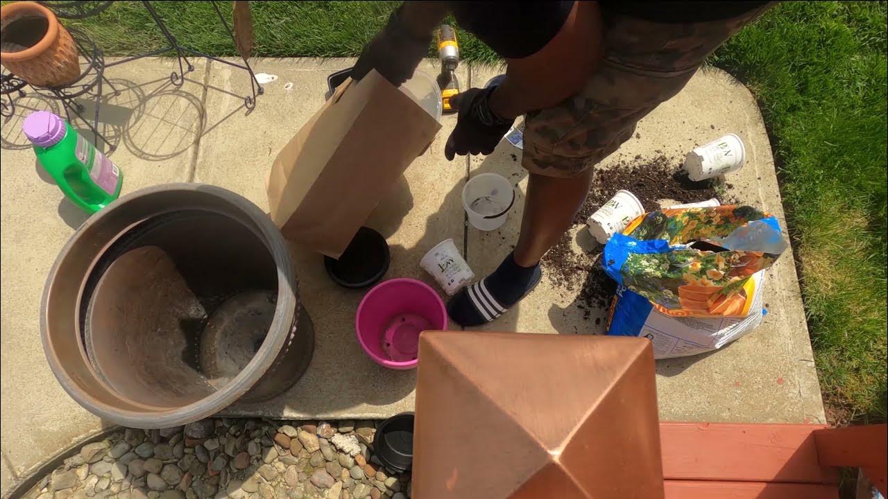 Use Less Potting Soil Save up to 75 YouTube