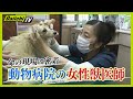 【密着】動物のSOSに全力疾走 命の現場で奮闘する女性獣医師【every.しずおか特集】