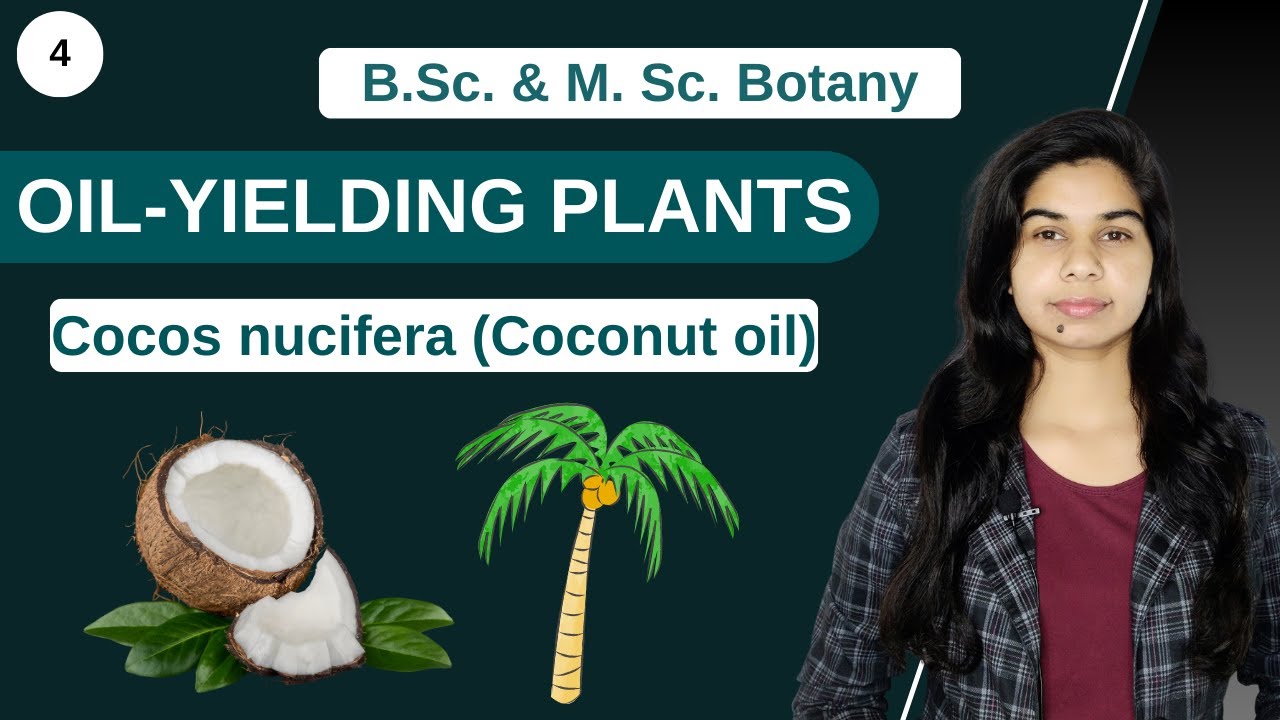 Economic Botany OILYIELDING PLANTS Cocos nucifera (coconut oil
