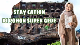 Pohon Inn Hotel Batu - Bermalam di Rumah Pohon Bernuansa Satwa & Sarapan Bersama Singa