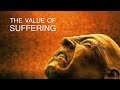 Daily Deep Episode 1 - Suffering is not Optional- it is essential.