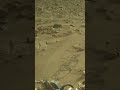 Perseverance Rover Sol 1159 | Mars New 4k Video | Mars 4k Video | Mars In 4k | Mars 4k #shorts