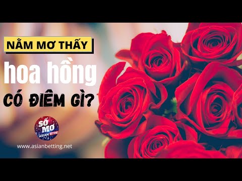 Video: Tại Sao Hoa Hồng Trắng Lại Mơ