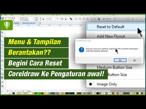 Video: Bagaimana cara mengembalikan vektor saya ke setelan pabrik?