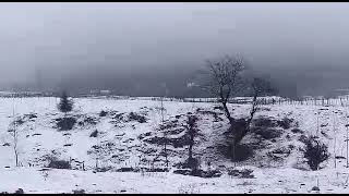 Fresh Snowfall In Kokernag Shangus Achabal Anantnag