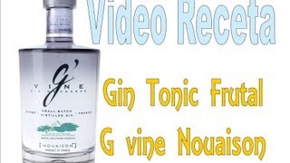 Como Hacer Un Gin Tonic Frutal Gvine Nouaison