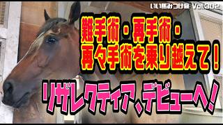 【競馬・馬主】難手術・再手術・再々手術を乗り越えて!❗️リザレクティア、デビューへ‼️（Vol.302）