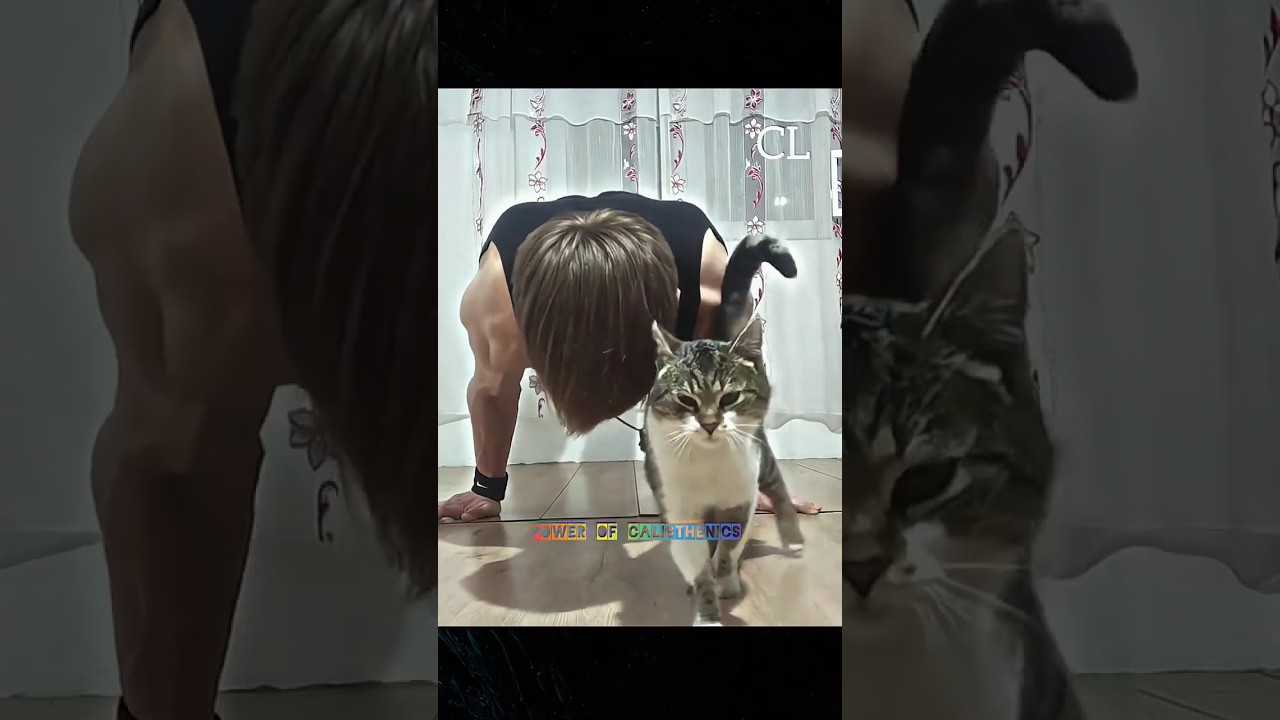 Сила калистеники, часть 2 🥶💀 